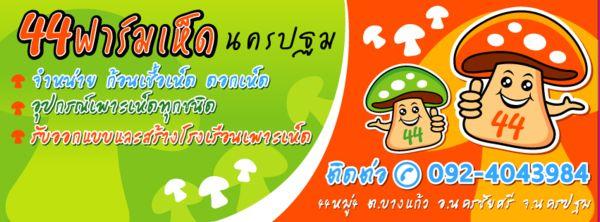 ฟาร์มเห็ด นครปฐม,Mushroom Nakhonpathom