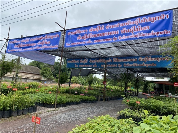 โสภาการ์เด้นท์1,sopagarden1