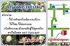 ปฏิพัทธ์พฤกษา,Patipat Flora