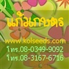 ดูรายละเอียด
