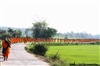 สวนภัทรนนท์,pataranon garden