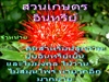 ดูรายละเอียด