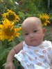 ดูรายละเอียด