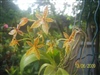 คลิกเพื่อดูสินค้า