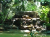 คลิกเพื่อดูสินค้า