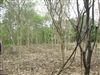 คลิกเพื่อดูสินค้า