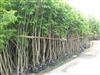 คลิกเพื่อดูสินค้า