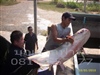 คลิกเพื่อดูสินค้า