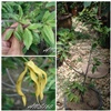 คลิกเพื่อดูสินค้า