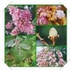 คลิกเพื่อดูสินค้า