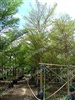 ดูรายละเอียด