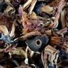 ดูรายละเอียด