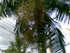 คลิกเพื่อดูสินค้า