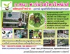 ดูรายละเอียด