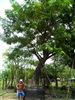 ดูรายละเอียด