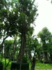 ดูรายละเอียด