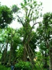 ดูรายละเอียด