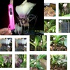 ดูรายละเอียด