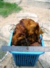 คลิกเพื่อดูสินค้า