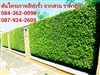 ดูรายละเอียด