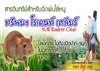 ดูรายละเอียด