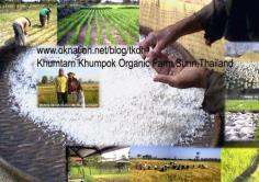 คลิกเพื่อดูสินค้า