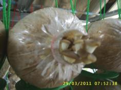 คลิกเพื่อดูสินค้า