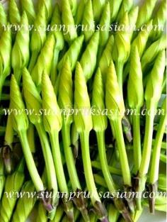 คลิกเพื่อดูสินค้า