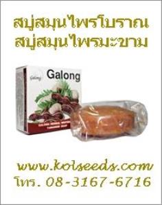 คลิกเพื่อดูสินค้า