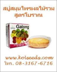 คลิกเพื่อดูสินค้า