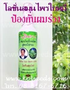 คลิกเพื่อดูสินค้า