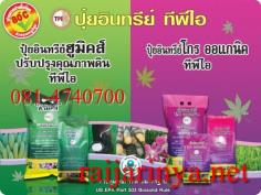 คลิกเพื่อดูสินค้า