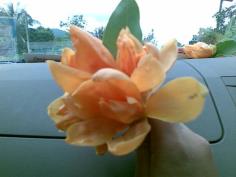 คลิกเพื่อดูสินค้า