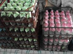 คลิกเพื่อดูสินค้า