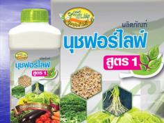 คลิกเพื่อดูสินค้า