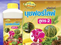 คลิกเพื่อดูสินค้า
