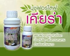 คลิกเพื่อดูสินค้า