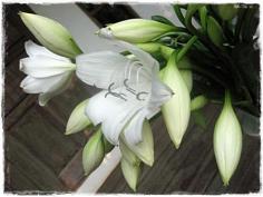 คลิกเพื่อดูสินค้า