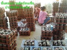 คลิกเพื่อดูสินค้า