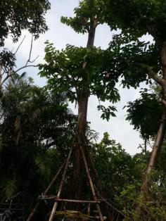 คลิกเพื่อดูสินค้า