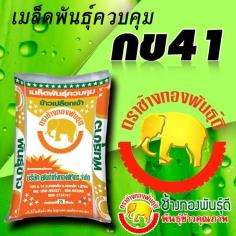 คลิกเพื่อดูสินค้า