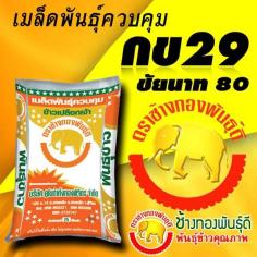 คลิกเพื่อดูสินค้า