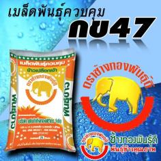 คลิกเพื่อดูสินค้า