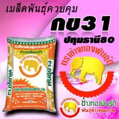 คลิกเพื่อดูสินค้า