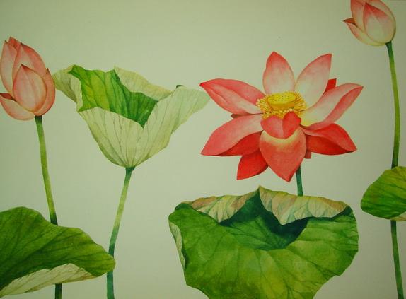 ภาพ ดอกบัว,ภาพวาด,งานเพ้นท์