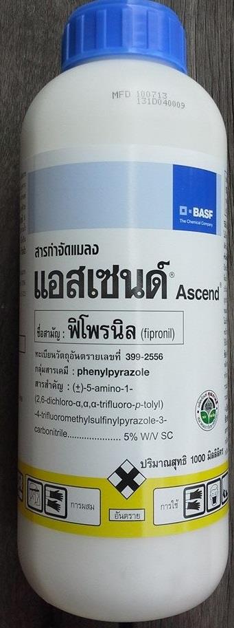 วิธีกำจัดปลวกแบบไร้สารเคมี