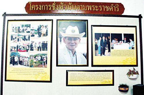 รูปภาพ