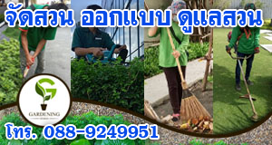 Gardening Design รับจัดสวน ออกแบบสวน ดูแลสวน