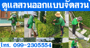 ดูแลสวนออกแบบจัดสวน