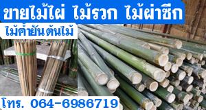 ขายไม้ไผ่ ไม้รวก  ไม้ผ่าซีก  ไม้ค้ำยันต้นไม้ 